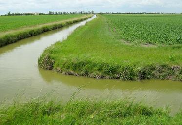 Depuis le 1er mars et jusqu’au 1er septembre prochain, le grand public est invité à partager ses réflexions, remarques, propositions sur une plateforme numérique dédiée : www.agissonspourleau.fr 