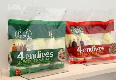 La stratégie d’innovation engagée depuis près de dix ans par la marque Perle du Nord porte ses fruits, assurent les responsables du groupe qui pèse aujourd’hui environ 47 % de la production nationale d’endives.