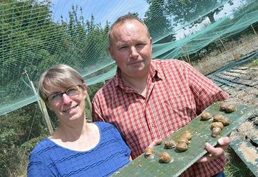 Valérie et Valère Caron dans l’un de leurs parcs d’engraissement.