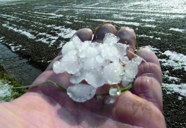 En présence d'un cas fortuit comme la grêle, selon la jurisprudence, la perte de récolte s’apprécie uniquement en quantité.