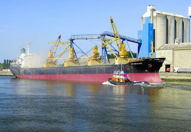 Des exportations de blé ont battu des reccord en février dernier.