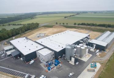 Après avoir conquis les Hauts-de-France, InnovaFeed regarde déjà vers les États-Unis et prépare une future implantation suivant le modèle développé en France.