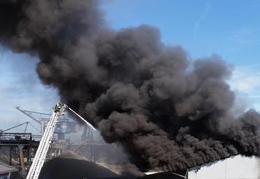 L'épais panache de fumée provoqué par l'incendie de l'usine Lubrizol de Rouen a des répercussions sur la récolte et la commercialisation de produits agricoles jusque dans le département de la Somme.