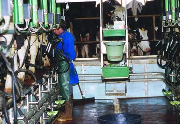 Des quotas laitiers supplémentaires peuvent être attribués gratuitement aux producteurs laitiers ou aux jeunes agriculteurs qui débutent une production laitière.