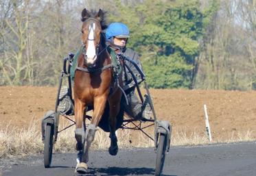 Pour Jérémy Koubiche, la passion du Trot, c'est avant tout "pour l'animal".