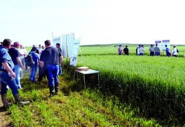 Les agriculteurs ont échangé avec les conseillers des chambres 
sur différents sujets techniques.