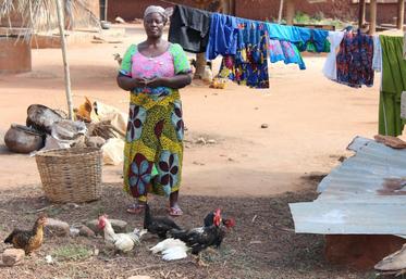 L’organisation paysanne souhaite soutenir financièrement cinquante producteurs dans la construction d’un poulailler et l’achat d’animaux.