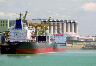 Les céréales françaises sont très souvent handicapées par un rapport qualité/prix défavorable par rapport à la concurrence étrangère.