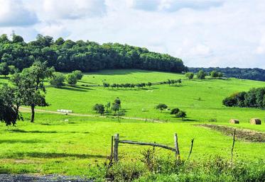 Sur les 15 285 ha du marché de l'espace rural en Picardie, une partie des surfaces vendues n'est pas accessible à la Safer.