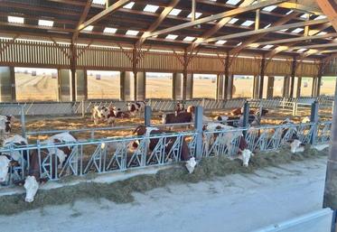 Un bâtiment qui concilie le bien-être de l’éleveur et de ces animaux, et a pris en compte son intégration paysagère.