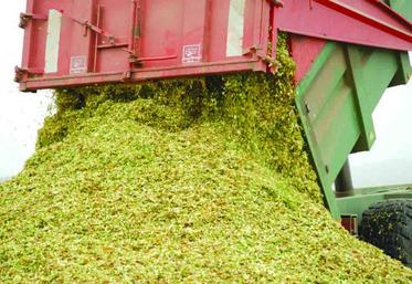 Les chantiers d’ensilage ont commencé un peu partout.