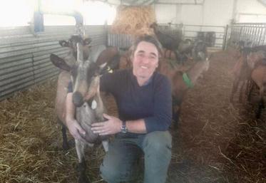 Ce vendredi matin, Georges Gribeauval a retrouvé une porte de l'étable fracturée... Et sept chevrettes avaient disparu.