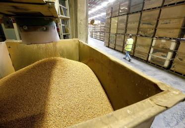 La filière semencière française génère 3,3 milliards d’euros de chiffre.