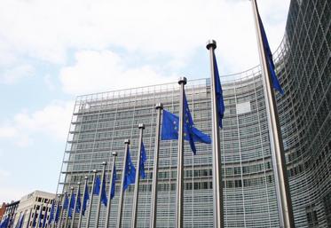 «Quel niveau d’ambition pour une Pac efficiente», dans le cadre d’un budget amputé de la contribution britannique et qui devra répondre à de nouvelles priorités ? Telle est la question posée par la Commission européenne.