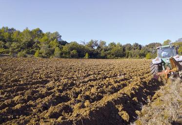 L’administration a accordé des dégrèvements de taxes foncières à hauteur de 30 % sur les terres labourables et de 50 % sur les prairies permanentes.