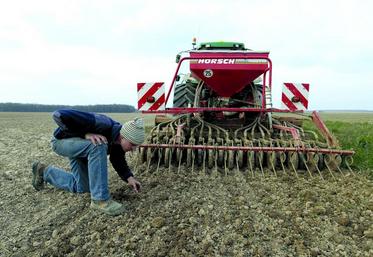 Contrôle de l'écartement et la densité lors du semis de graines de lin.
