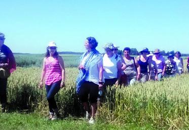 Le groupe chez Bonduelle... et sur le site de l'Inra.