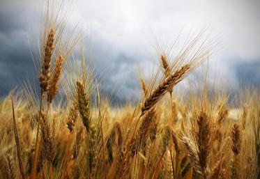 «Une montée des tensions pourrait perturber les flux de transports dans le monde»