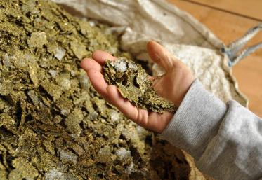 Tourteau de colza issu de l'agriculture biologique. L’innovation variétale permettrait de produire du blé plus protéiné, selon elle, en le combinant avec des tourteaux de colza, ce mélange pourrait se substituer au soja dans l’alimentation animale.