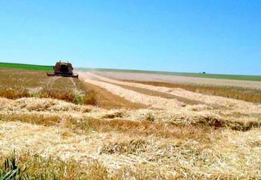 Les premiers échos indiquent que les premières réceptions sont aux normes de qualité.