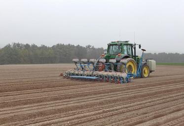 Des semis très précoces n'améliorent pas forcément le rendement, mais amènent des risques supplémentaires.