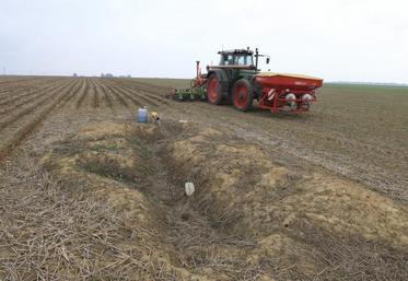 Terrier de blaireau au milieu d’une parcelle en cours de semis maïs.