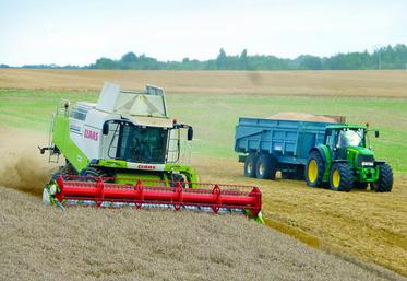 Une moisson aux résultats catastrophiques.