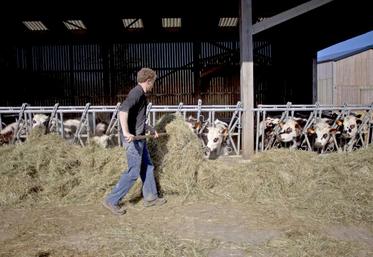 Le gouvernement prévoit des mesures structurelles et d’urgence, ces dernières focalisées sur la trésorie et l’endettement.