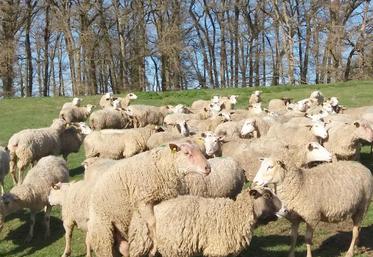 Le fœtus se fixe dans l’utérus seulement 3 semaines après 
la fécondation.