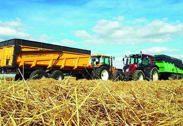 Les rendements moyens du blé tendre seraient autour de 84 quintaux par hectare, selon FranceAgriMer
