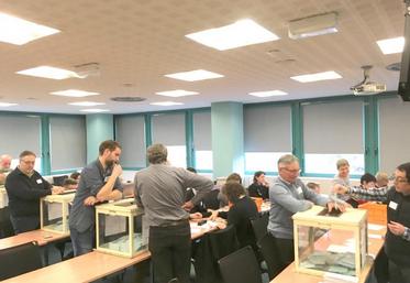 Environ un tiers des suffrages exprimés sur tous les collèges est issu du vote électronique ; une technique qui n’a pas pour autant raccourci significativement la durée des opérations de dépouillement.