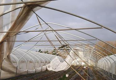 Deux bâches des serres de la cueillette de Saint-Gratien se sont arrachées. 
