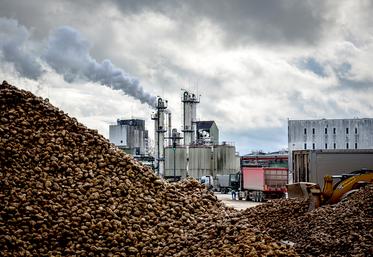 Le prix final moyen pourrait être, «selon la situation individuelle de chacun»,  de 28,27 E/t, incluant diverses primes, annonce Tereos.