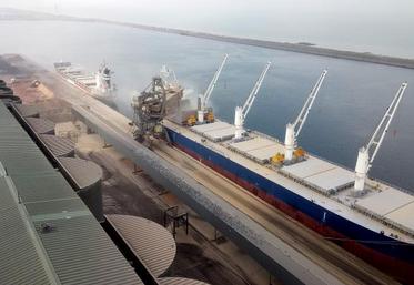 Troisième silo portuaire français avec un chiffre d’affaires d’un peu plus de 10 millions d’euros, Nord Céréales a exporté 1,3 million de tonnes de céréales lors de la campagne 2017-2018 et en a importé 216 039 tonnes. 