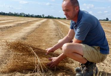Pierre Delignières cultive du lin près de Rouvroy-en-Santerre depuis cinq ans : «nous devons sans cesse affiner la technicité», confie-t-il.