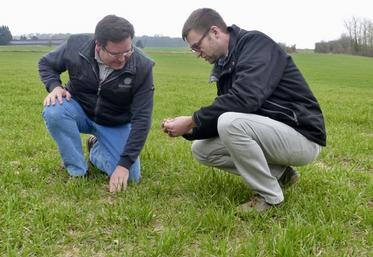 Tous les mardis, les agriculteurs du Ceta se retrouvent pour un tour de plaine. Ici, Guillaume Henne, président, et Alexandre Klein, technicien.