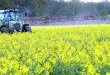 Les conditions climatiques expliquent objectivement l'augmentation du recours aux phytos, mais pour le ministre de l’Agriculture elles ne sont pas nécessairement incompatibles avec une réduction de leur utilisation.