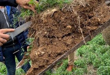 Toutes les classes du lycée en rapport avec l’agriculture participent au projet, puisque les essais sont menés à plusieurs niveaux.