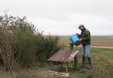 L'agrainage est désormais interdit.