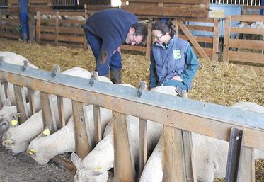 La surveillance des mamelles reste de rigueur.