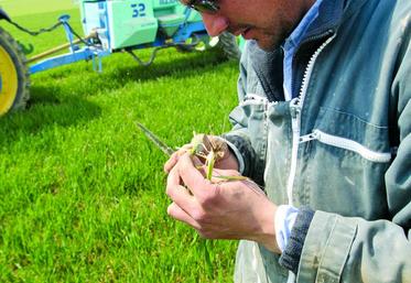En fonction du risque réel, une évolution dès le stade épi 1 cm permettra de positionner ou non un premier traitement.
