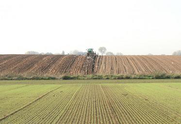 L’augmentation des départs à la retraite explique l’afflux de foncier, un afflux qui devrait prendre de l’ampleur à partir 
de 2020 en raison de l’âge moyen élevé des exploitants agricoles.
