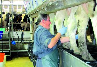 Il existe un potentiel d’emploi salarié en élevage.