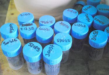 L’interprétation est directement liée à la technique de prise d’échantillon et à la méthode d’analyse.