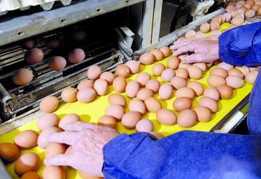 En signant cette charte les professionnels s’engagent sur neuf points clé de la production d’œufs.