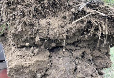 Les tassements profonds des sols sont les moins réversibles.