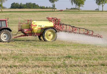 «Le plan de sortie ne passera pas sans l’engagement de la grande distribution», a insisté Didier Guillaume.