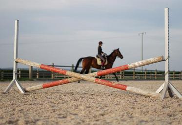 Les propriétaires de chevaux sont priés de rester chez eux. A l'écurie, il faut s'organiser pour s'occuper de chaque équidé.