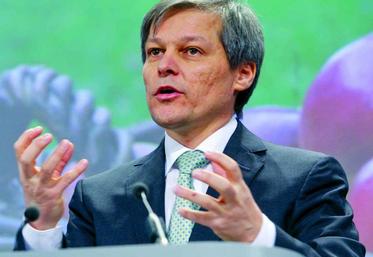 Dacian Ciolos, le commissaire européen à l’Agriculture, 
n’exclut pas que la réforme des aides (convergence interne
et verdissement) pourrait n’intervenir qu’en 2015.