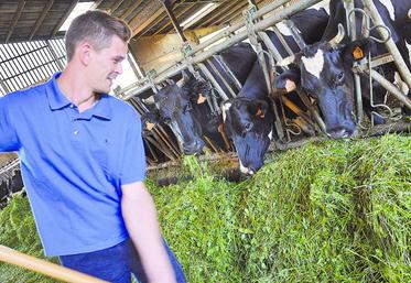 Pour l’alimentation de ses vaches, Guillaume Roussel a choisi l’affouragement en vert. Les vaches sont en meilleure santé et le goût du lait meilleur.